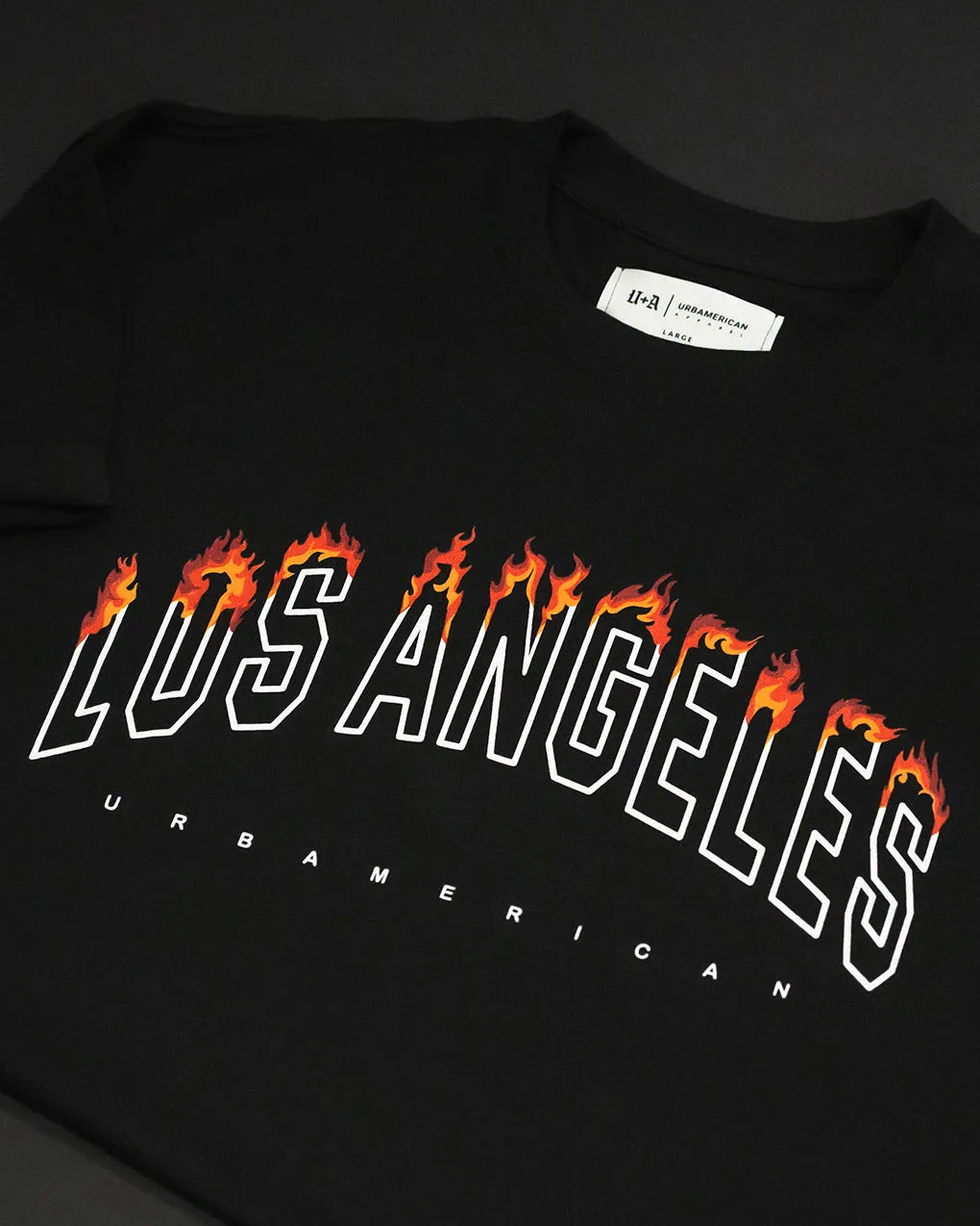 LA On Fire