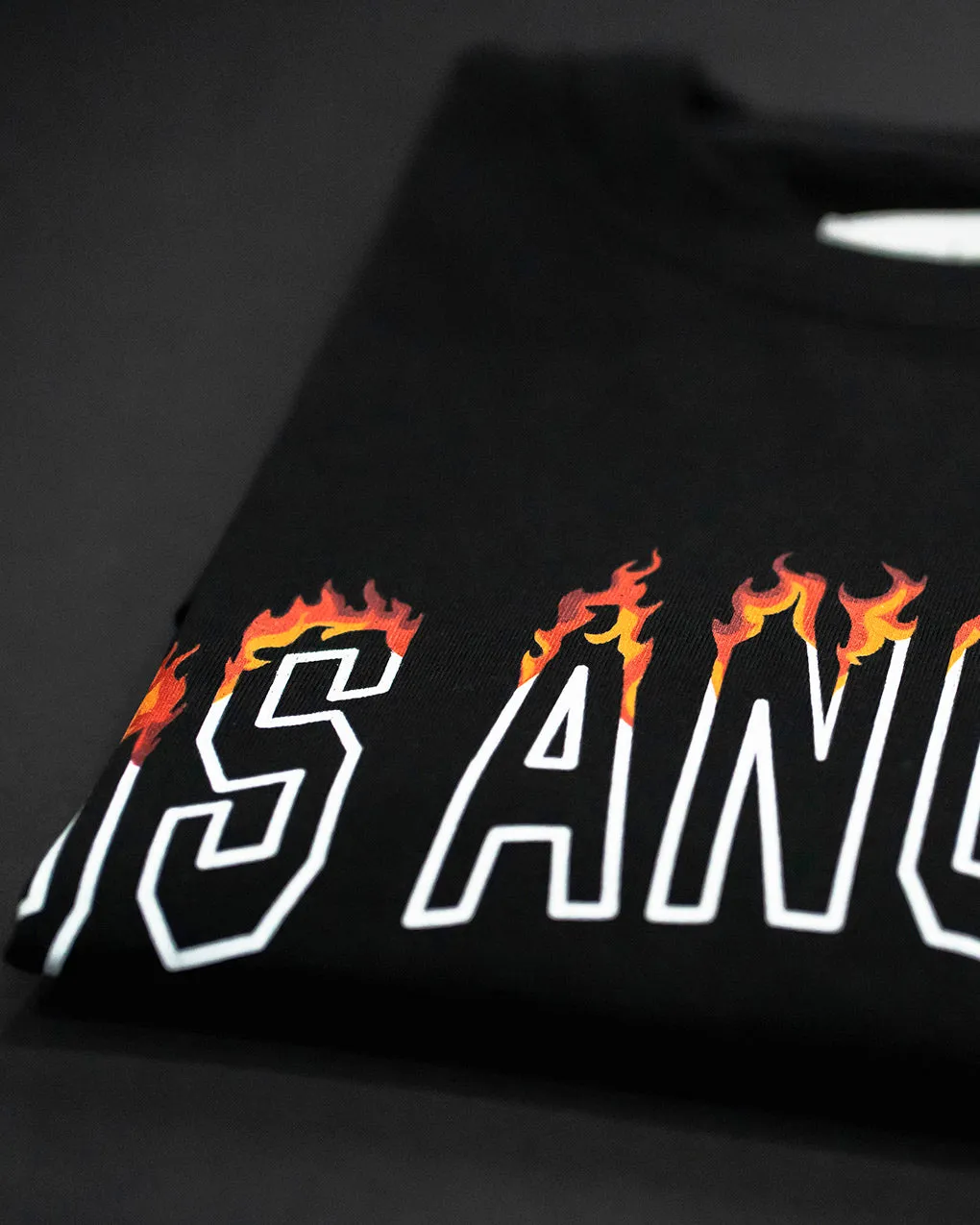 LA On Fire